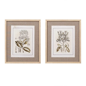 Tinted Botanical Single Linen Mat 2 Piece Set 16X20