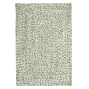 Hawkins Braided Green/White Rug