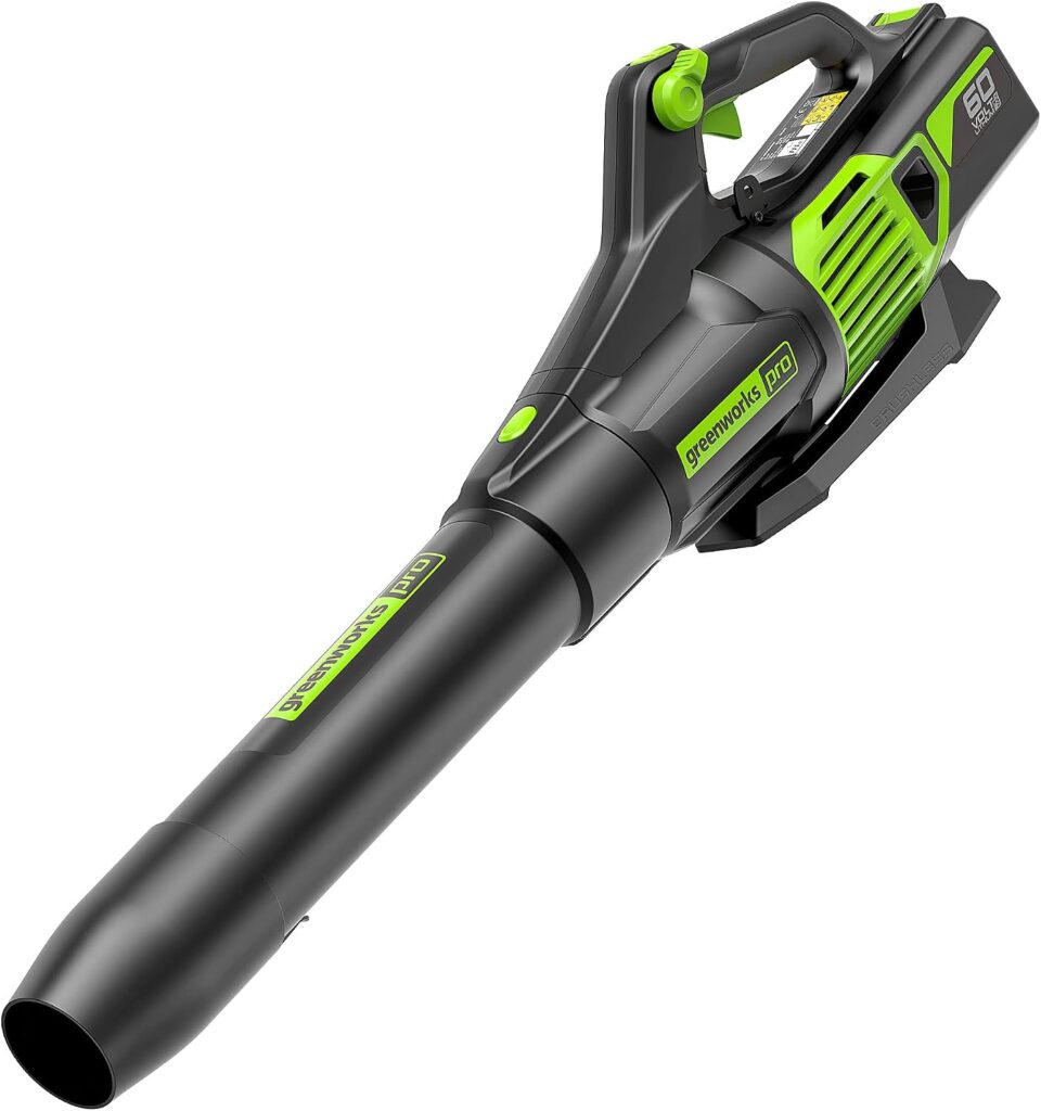 Greenwork Electric Blower
