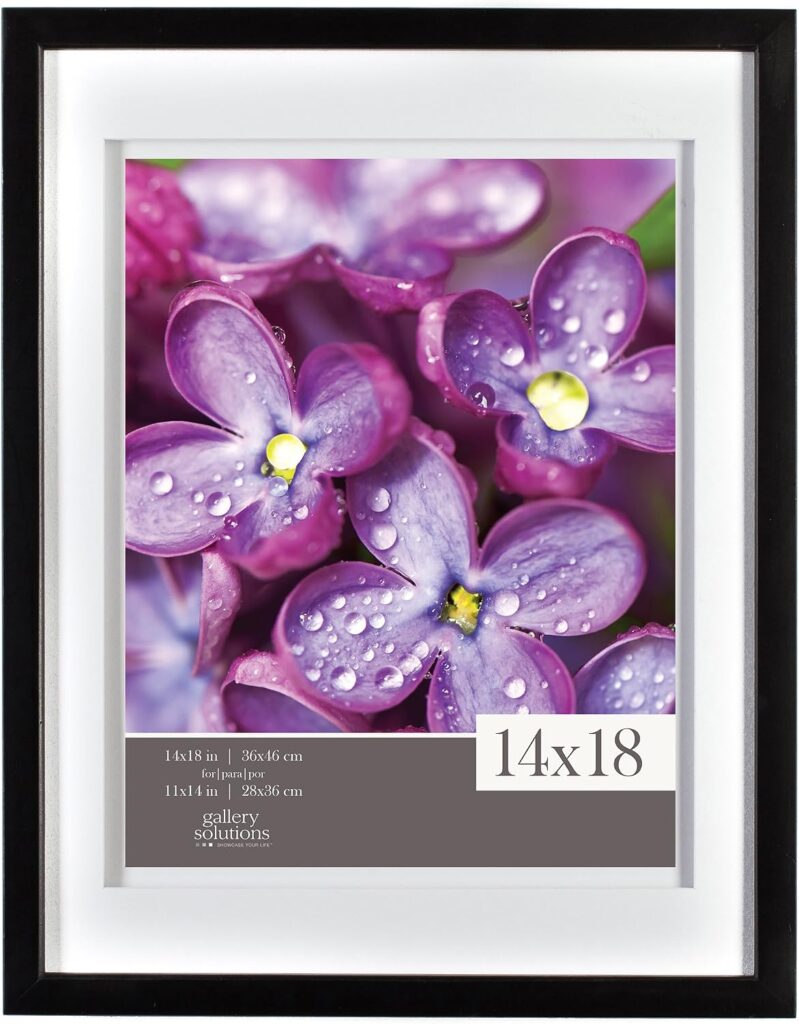 Gallery Solutions Frames 14x18