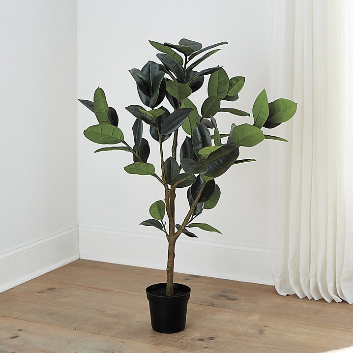 35 Faux Rubber Tree