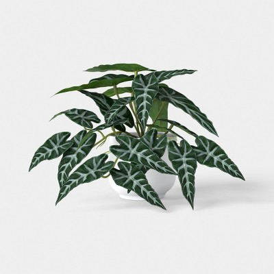 9.5" Trailing Mini Arrangement - Room Essentials