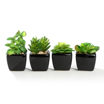 K-Cliffs Set of 4 Mini Artificial Succulents Small Fake Cactus