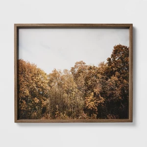 36" X 30" Golden Forest Framed Wall Art: Modern Decor
