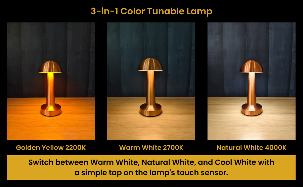 10.25" Rechargeable Cordless Dome Table Lamp with Touch Control Silver