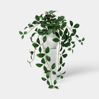 Trailing Prayer Artificial Plant - Room Essentials