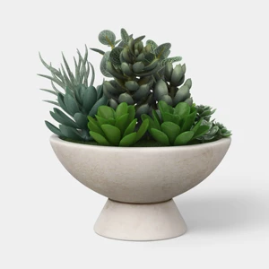 Succulent Bowl - Threshold