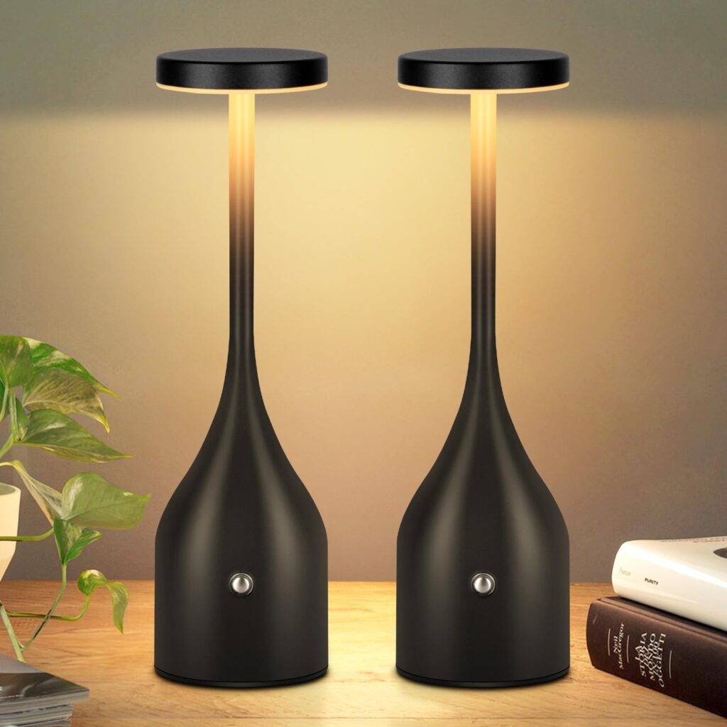 Portable Cordless Storage Novelty Table Lamp with Rechargeable Battery