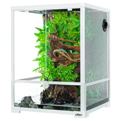 Large Clear Glass Terrarium - Threshold