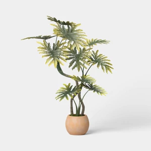 Large Philodendron Potted Plant - Threshold
