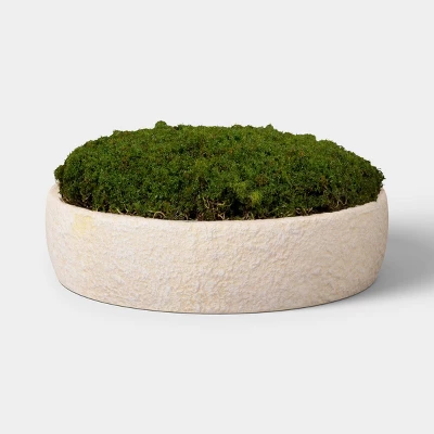 Faux Moss Bowl - Threshold