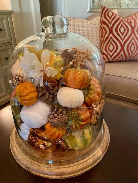 Large Preserved Fall Cloche - Threshold