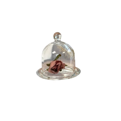 Small Preserved Cloche - Threshold