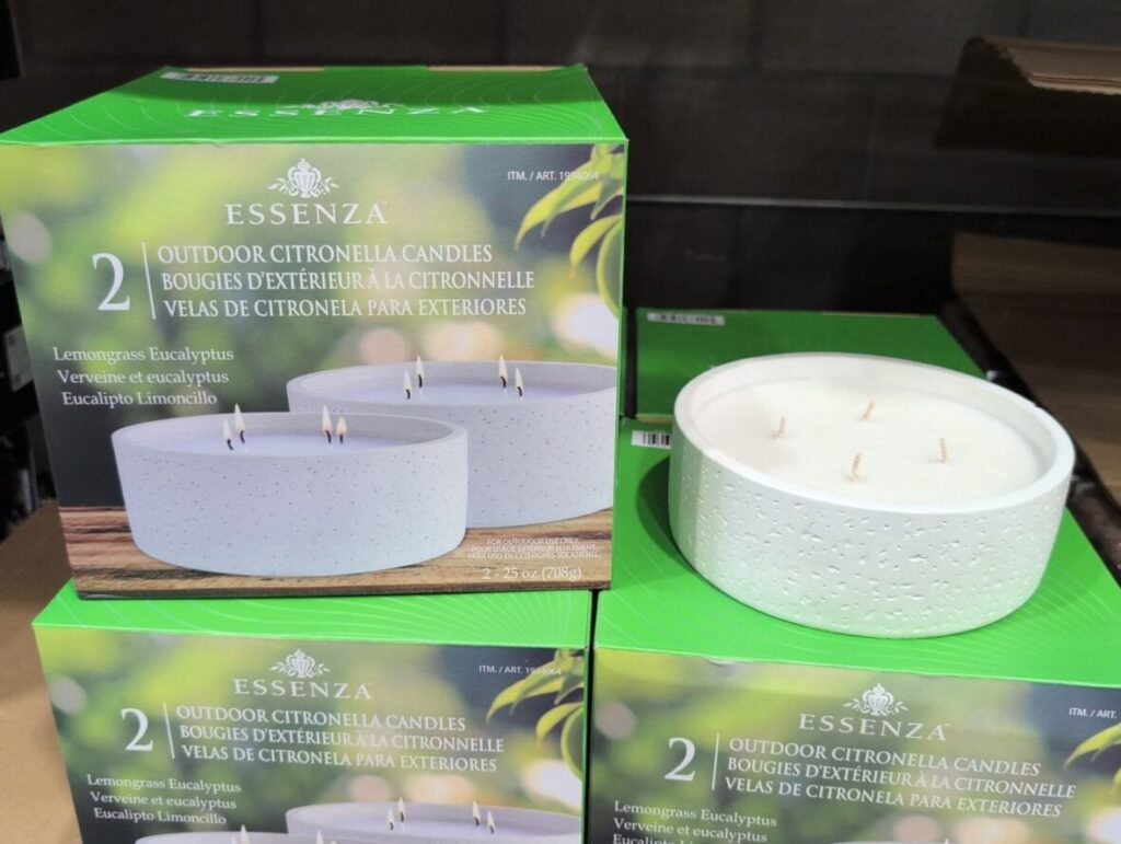 Essenza Citronella Candle