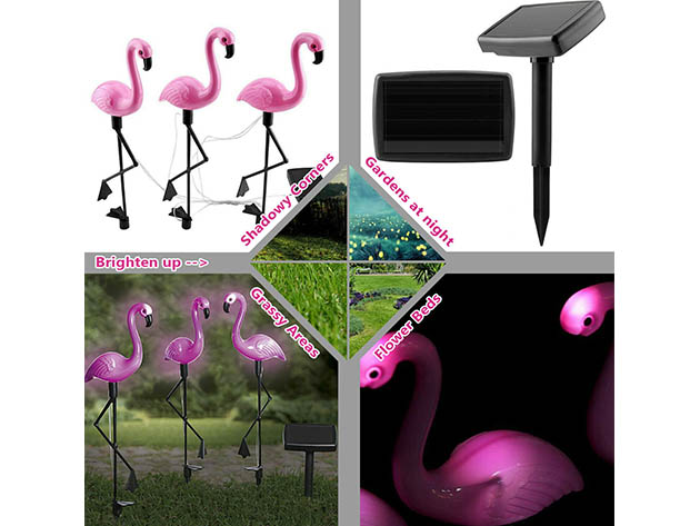 Solar LED Flamingo (2-Pack)